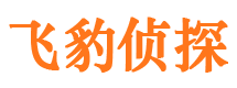 延吉市私家侦探